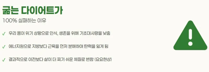 굶는 다이어트가 실패하는 이유: 기초대사량 저하, 근손실, 요요현상, 스트레스