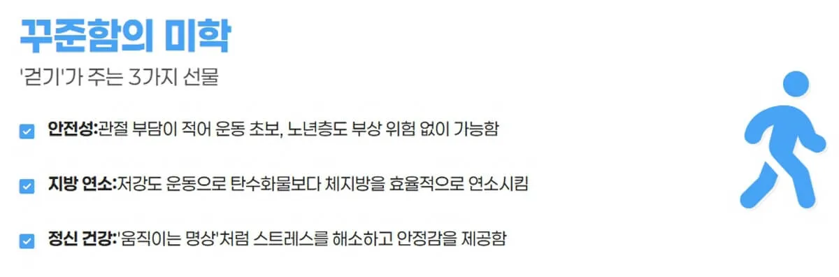 걷기 운동의 장점: 관절보호, 지방연소, 스트레스 해소