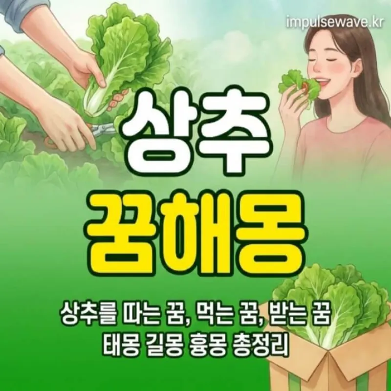 햇살이 비치는 텃밭에 싱싱하고 푸른 상추가 가득 자라나 있는 생명력 넘치는 일러스트