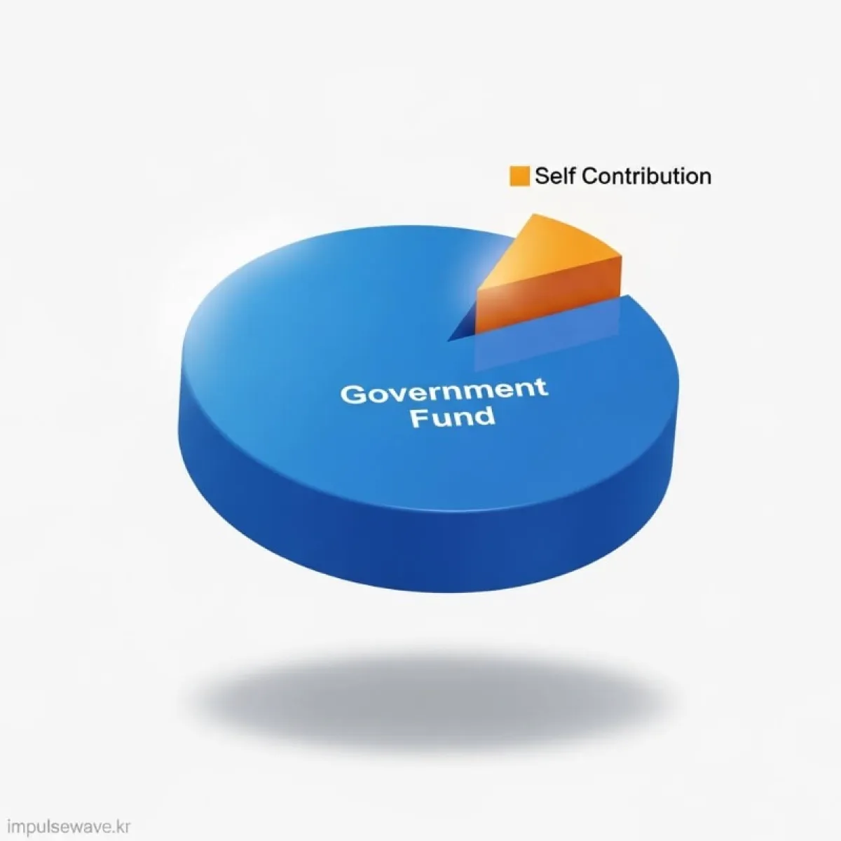 전체 사업비 중 정부 지원금과 자부담금(현금/현물)의 비율을 보여주는 원형 그래프