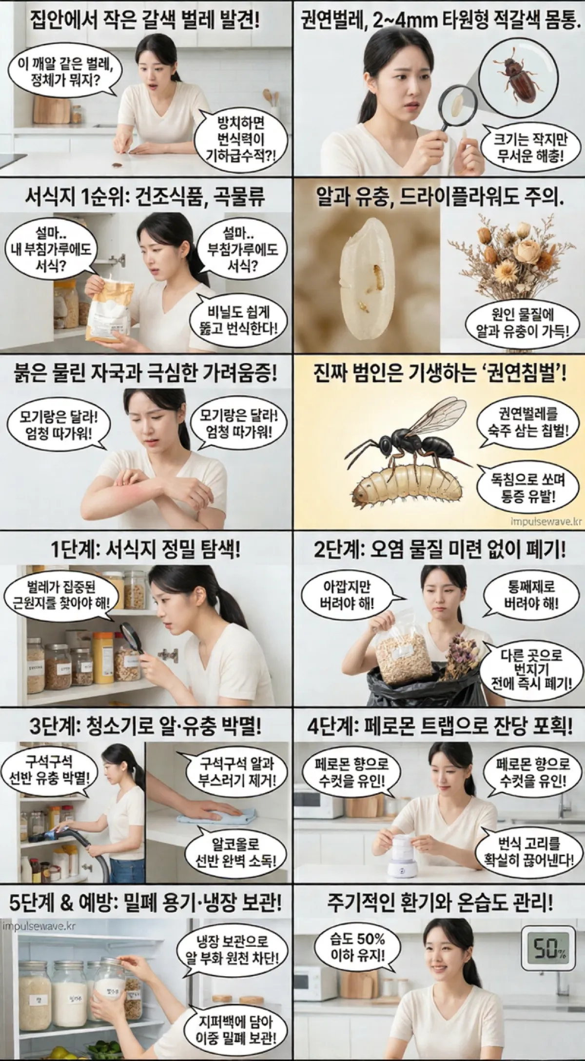 권연벌레 퇴치법, 물린자국 원인부터 서식지 완벽 분석