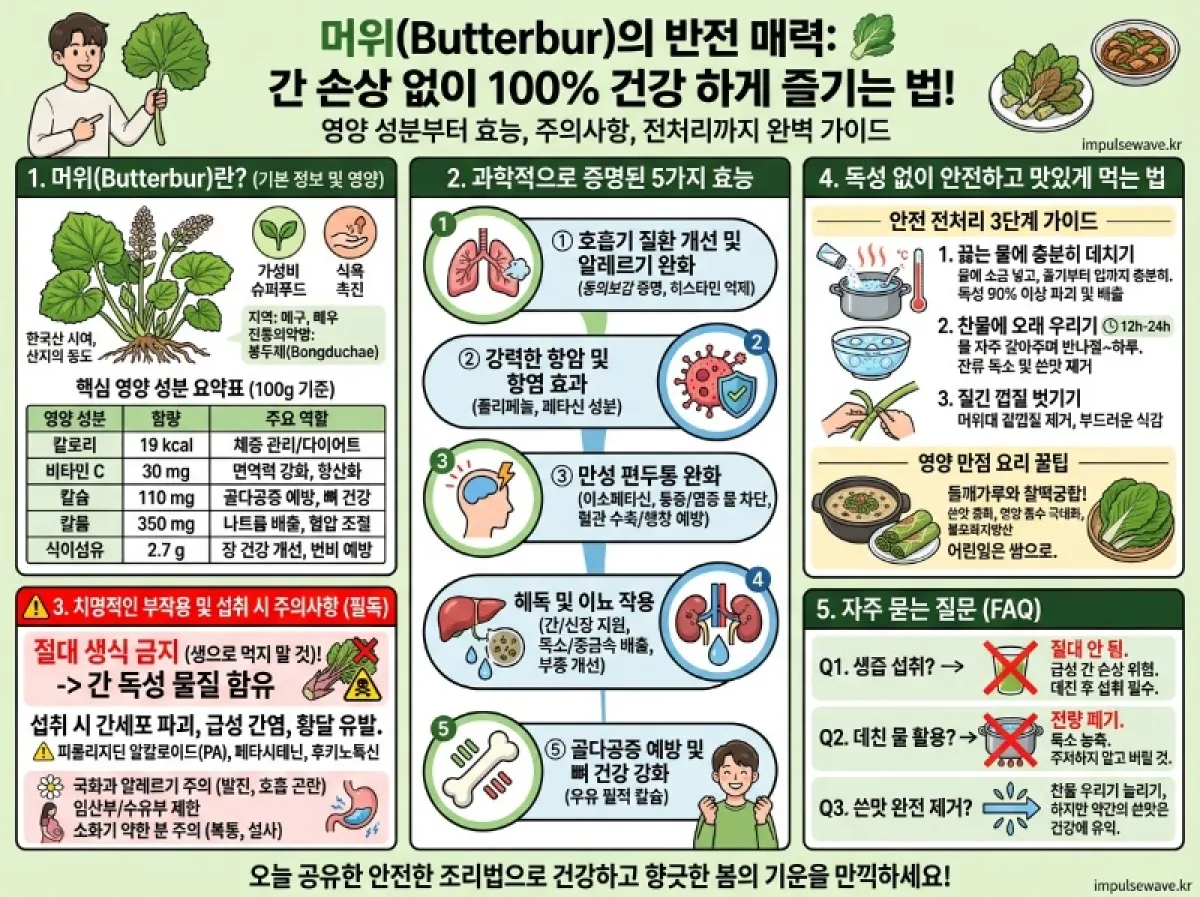 머위 효능과 영양 성분, 이용 방법, 주의사항