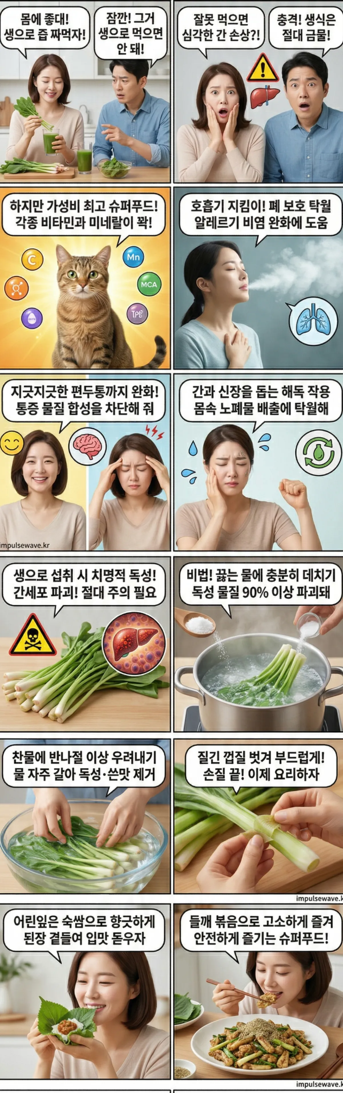 머위란? (기본 정보 및 핵심 영양 성분)
