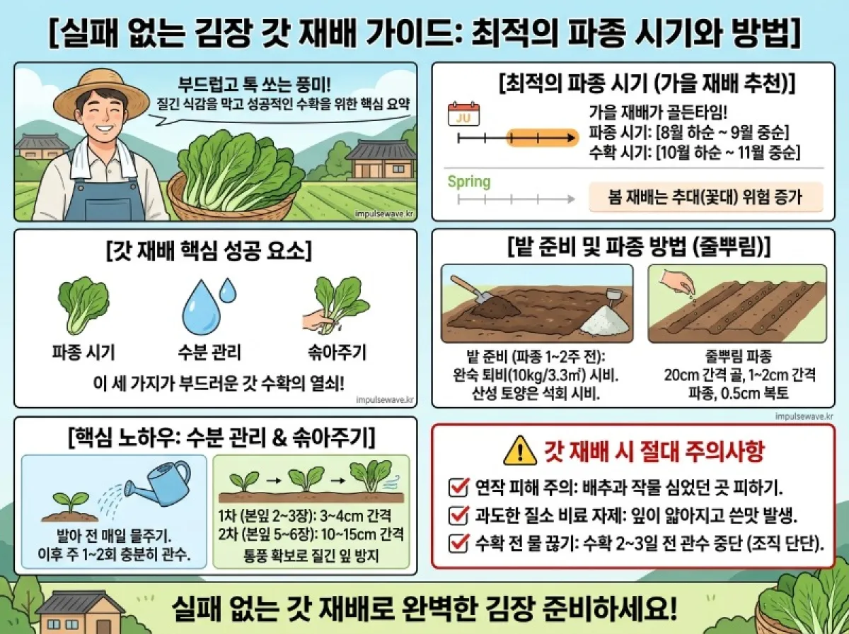 갓 심는 최적의 시기와 방법 안내 봄 가을 수확