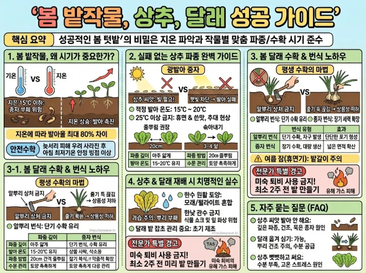 봄 밭작물 심는시기 봄 달래 캐기 상추 파종하기