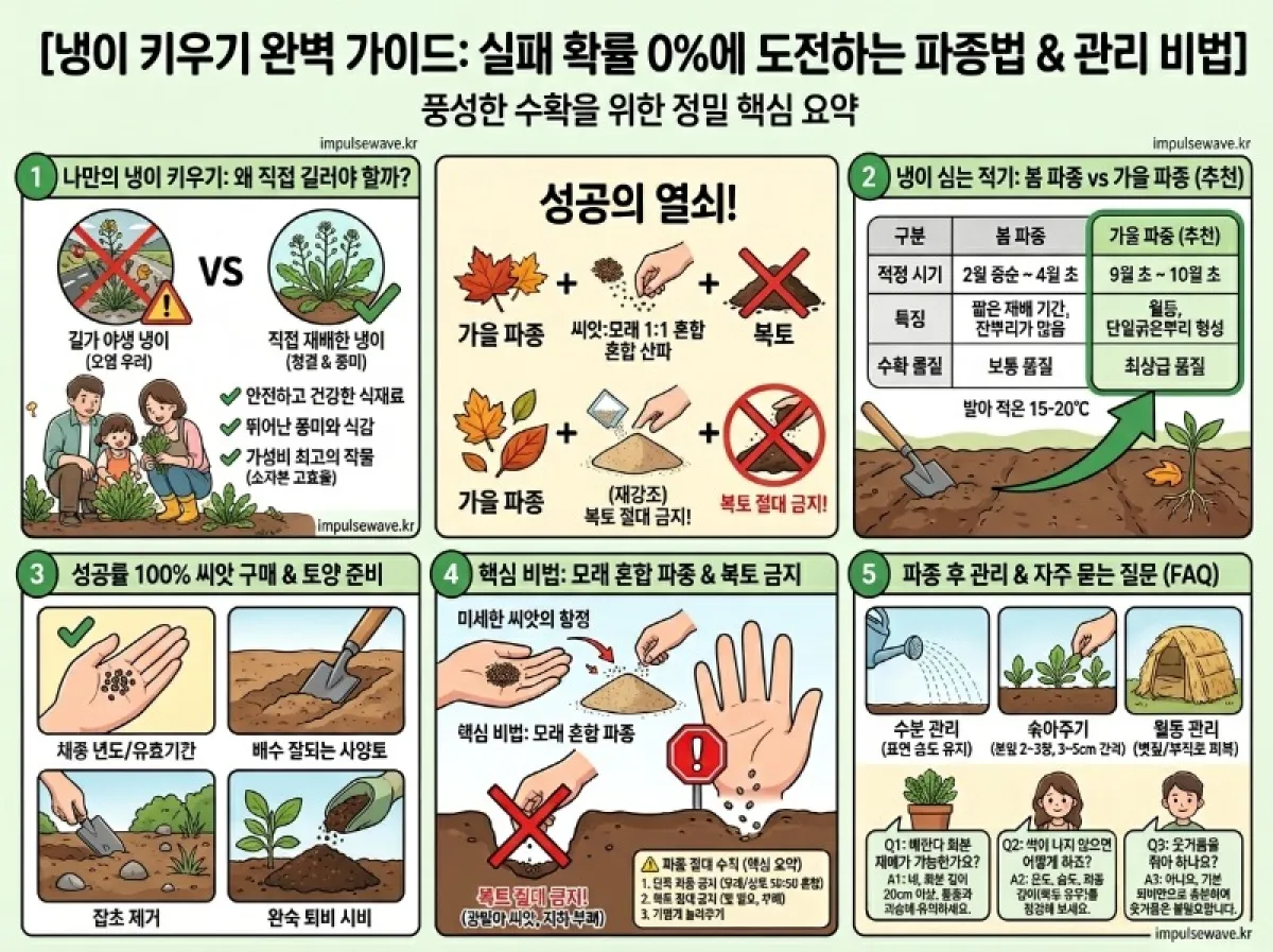 냉이심는시기 씨앗 구입 방법 파종 정리