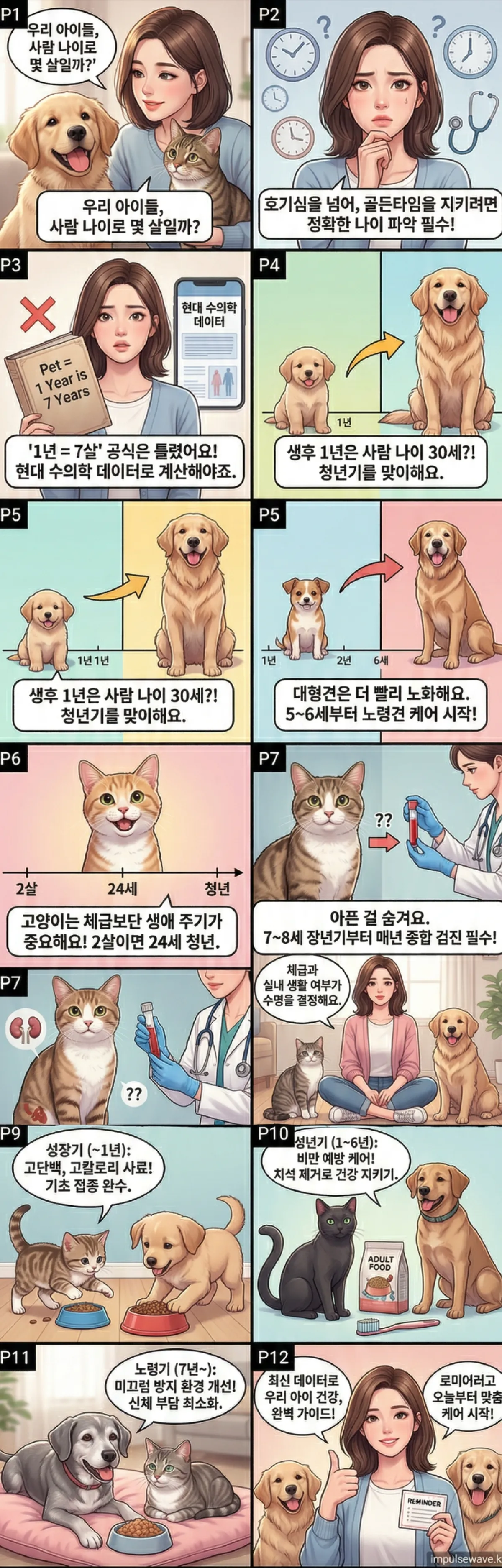 강아지 고양이 나이, 왜 정확히 알아야 할까요