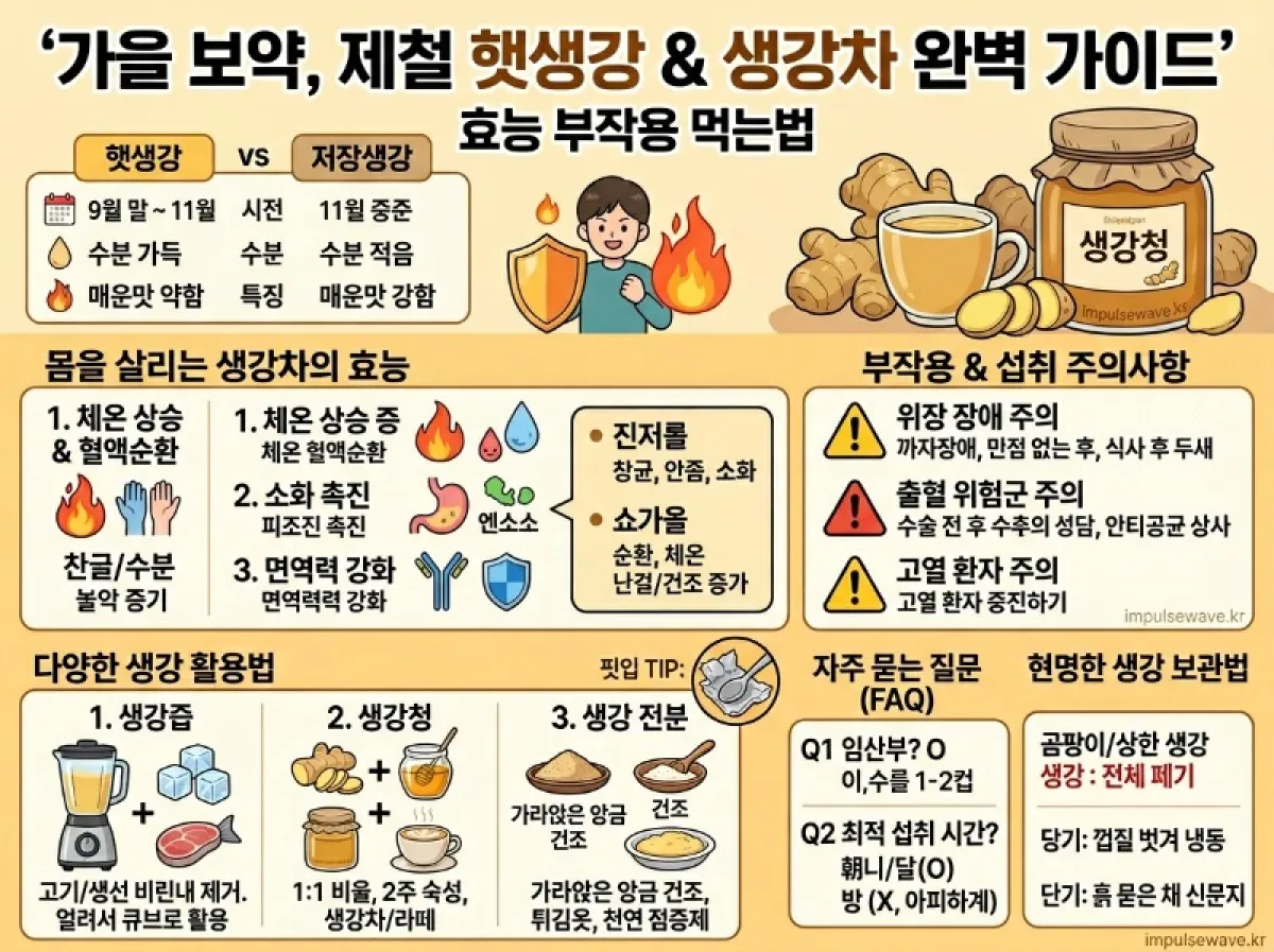 생강차 효능 부작용 햇생강 나오는시기 먹는법 생강즙 생강청, 생강전분