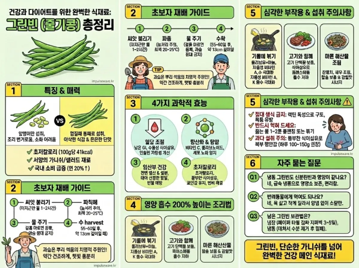 그린빈스 씨앗 특성 재배 효능 먹는 법
