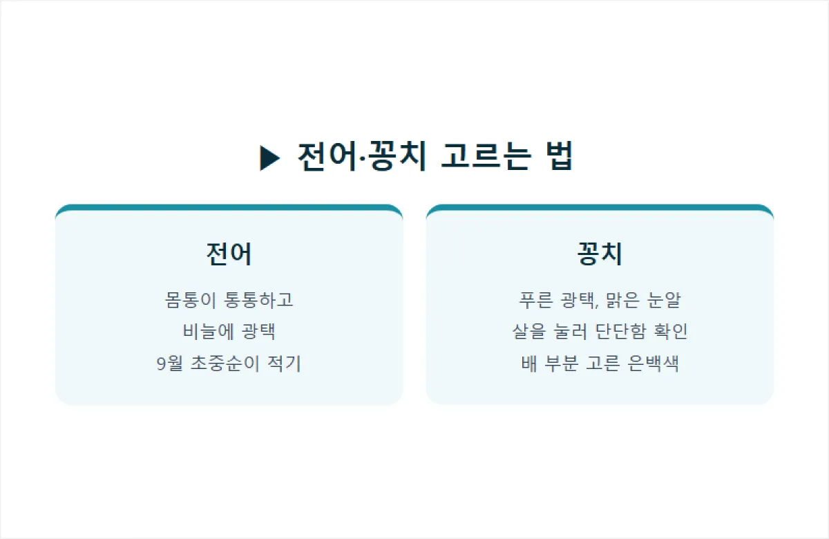 4_전어꽁치.png